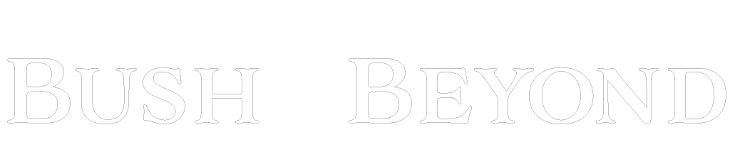 Bush and beyond Heaphy Track guided walks logo designed by Webbi Digital Studio