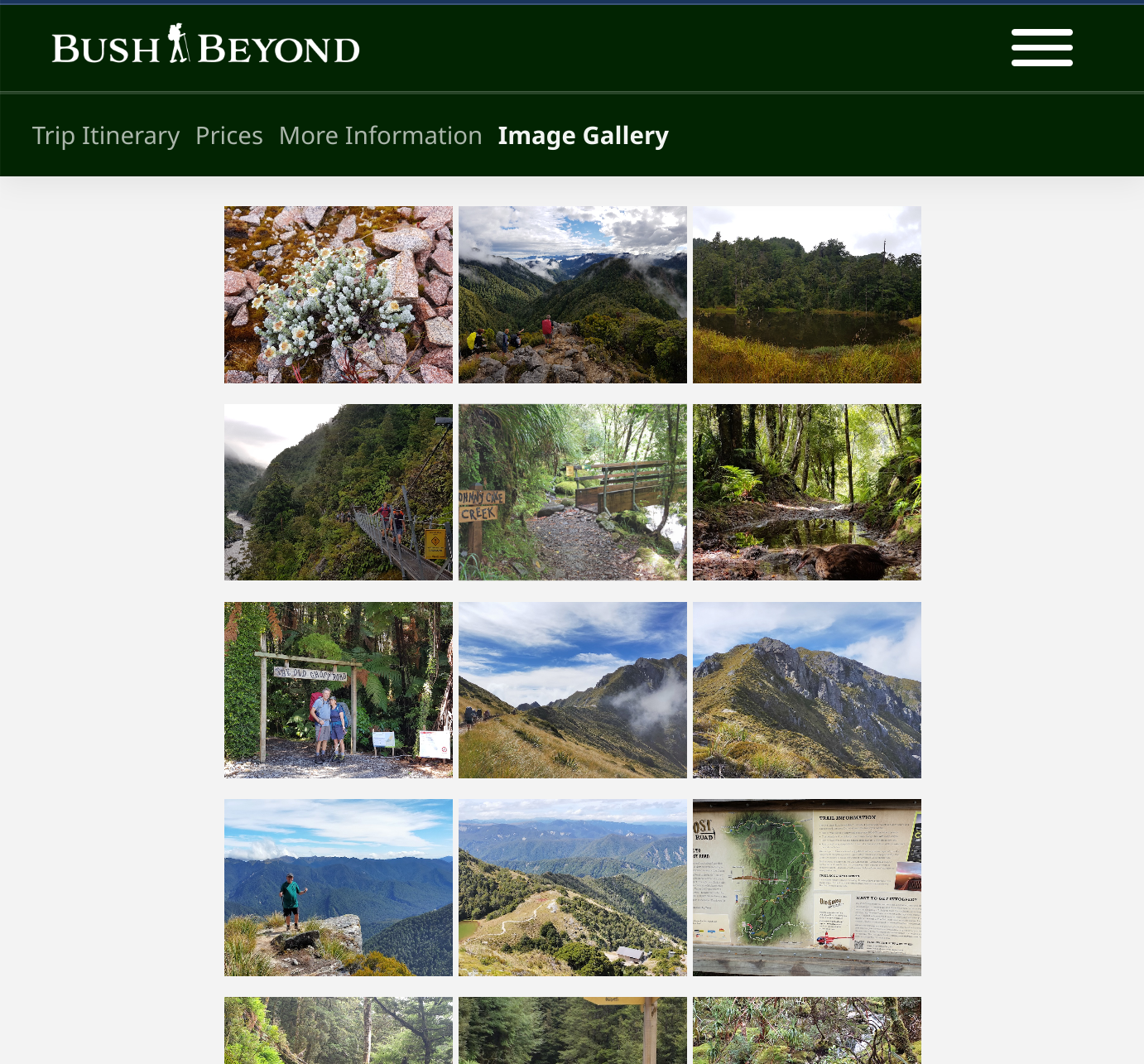 Images help people visualise the trip before they consider booking.